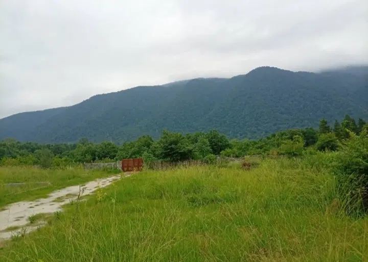 زمین شهرکی ۳۰۰متر سنددار سیسنگان
