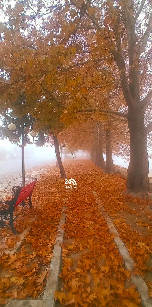 زمین جاده انهرپشت نیروگاه