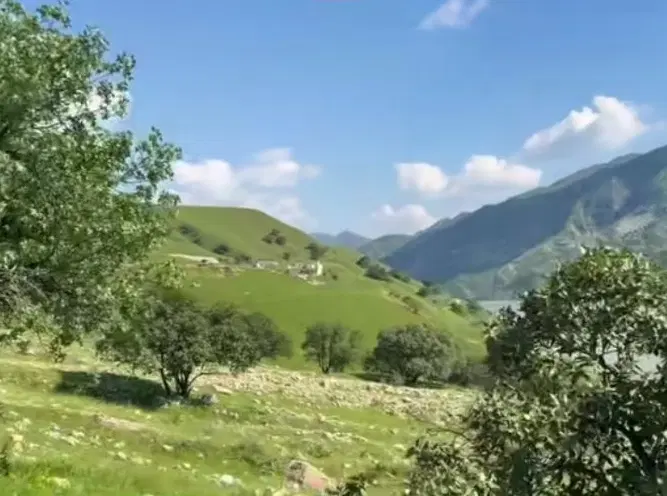 زمین دونبش بهارستان نایسر