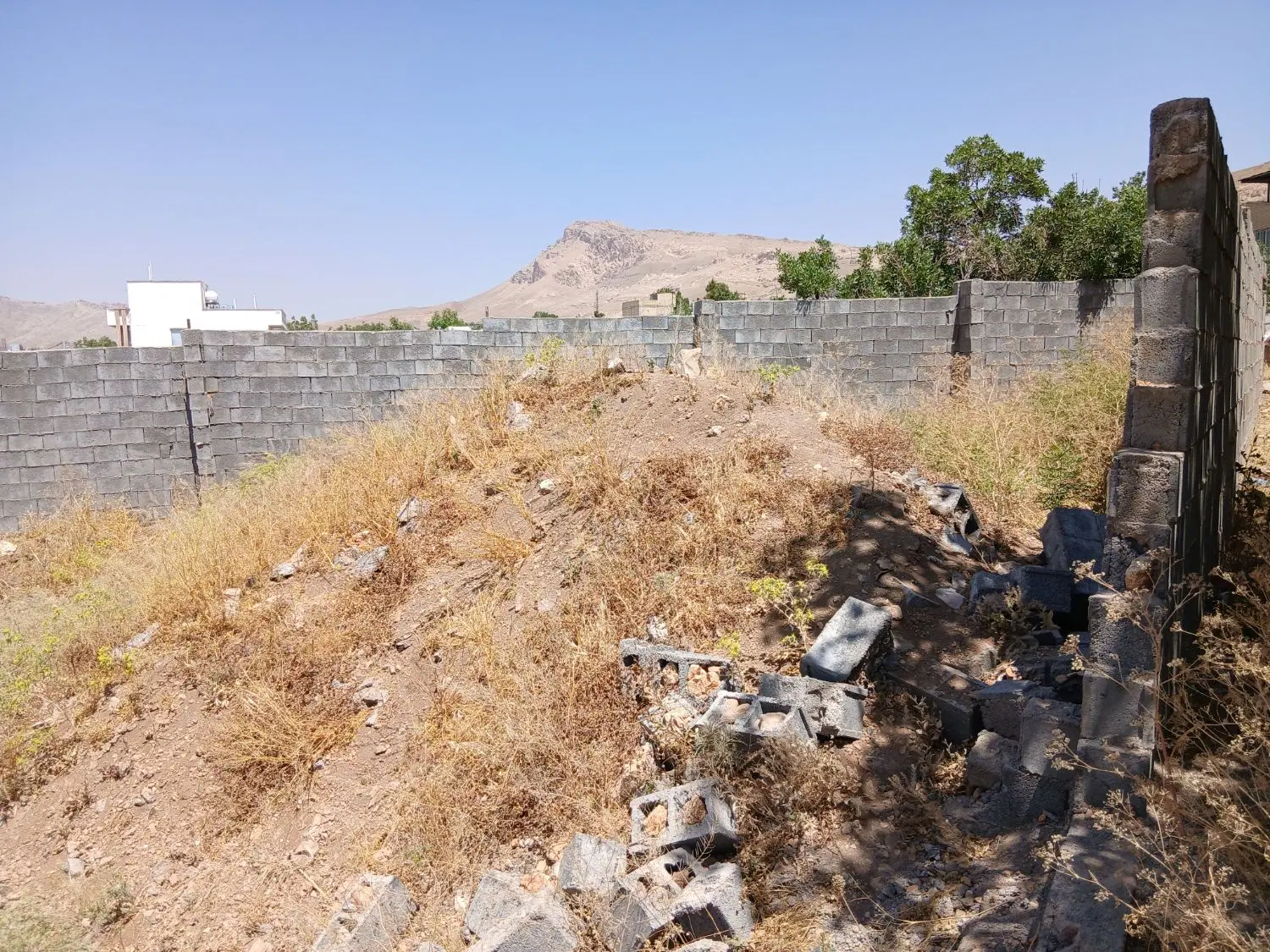 زمین فروشی مولوی