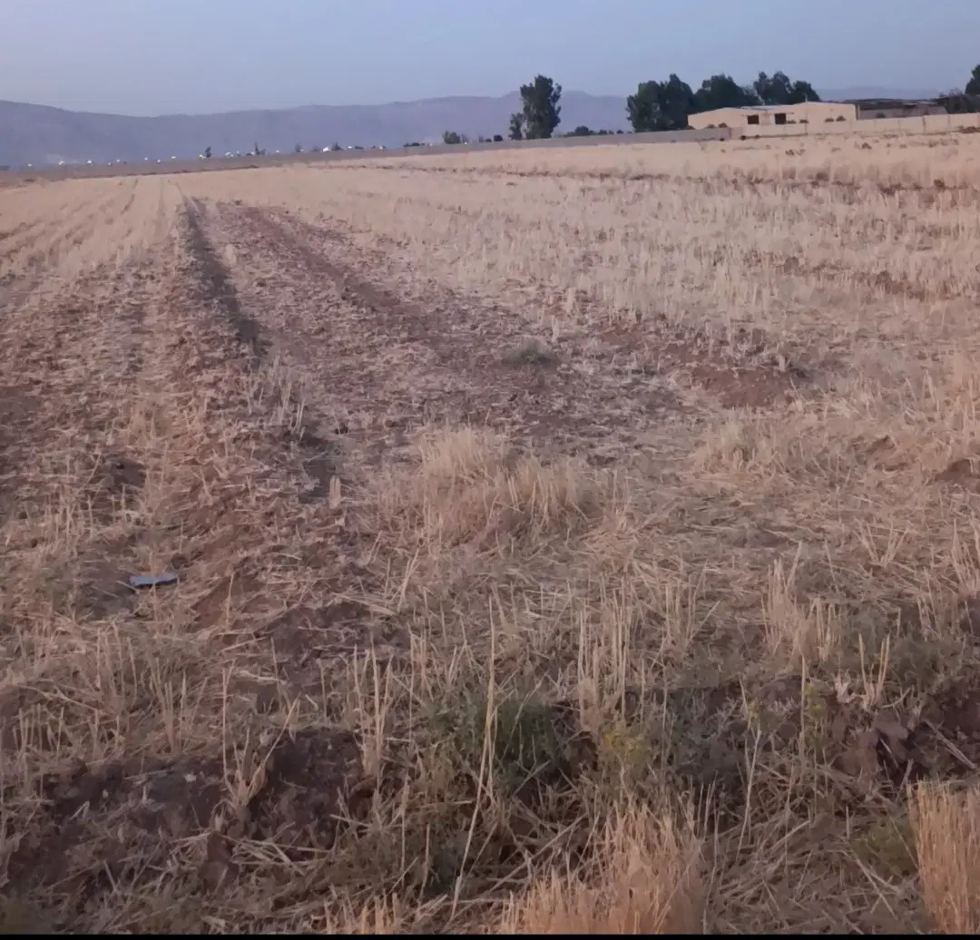 زمین شهرک دودمان