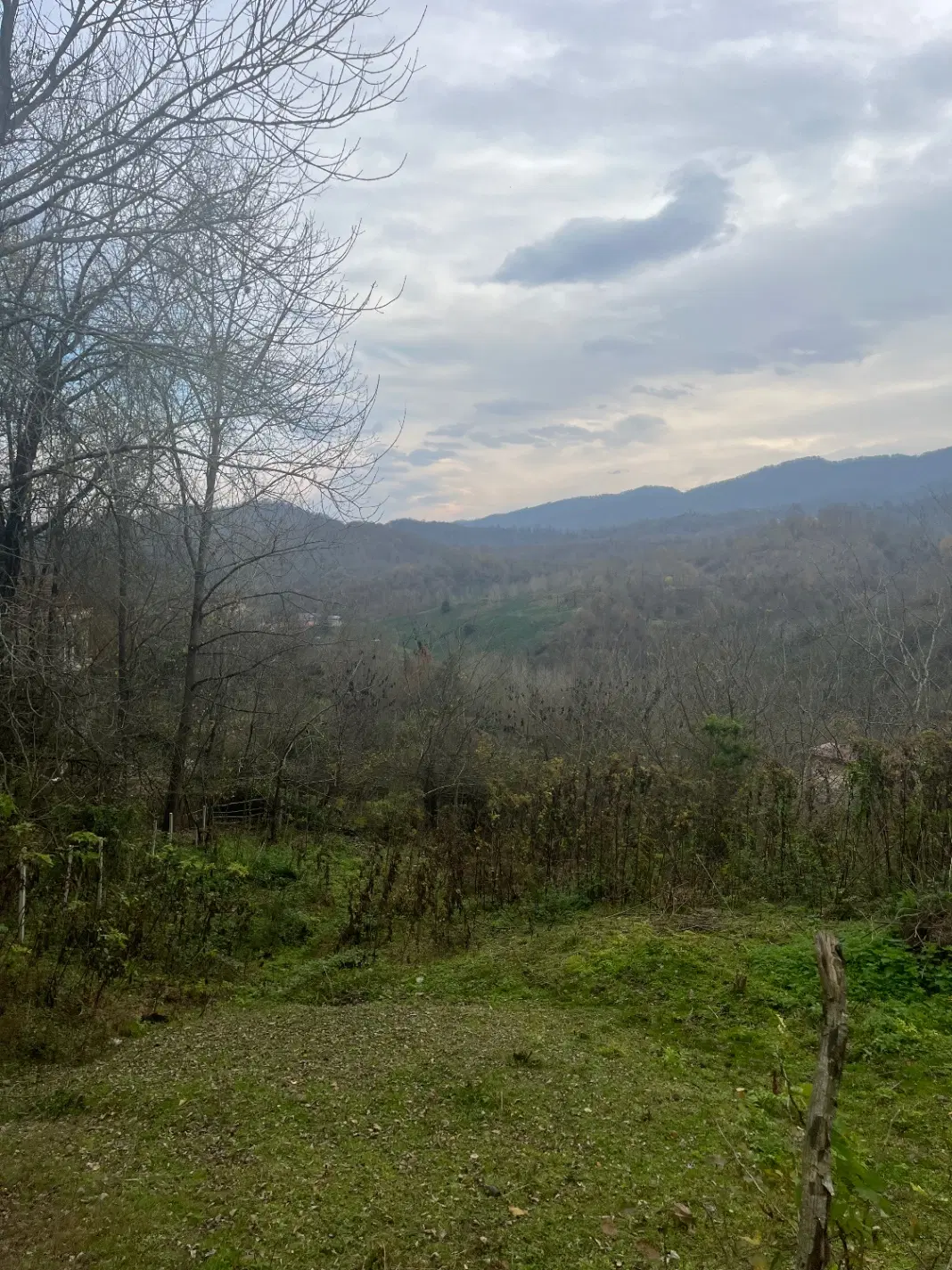 زمین روستایی ۲۴۰ متر واقع در دیزبن