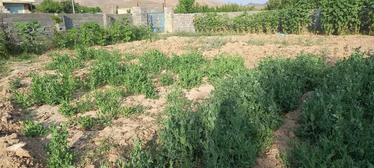 زمین باغ