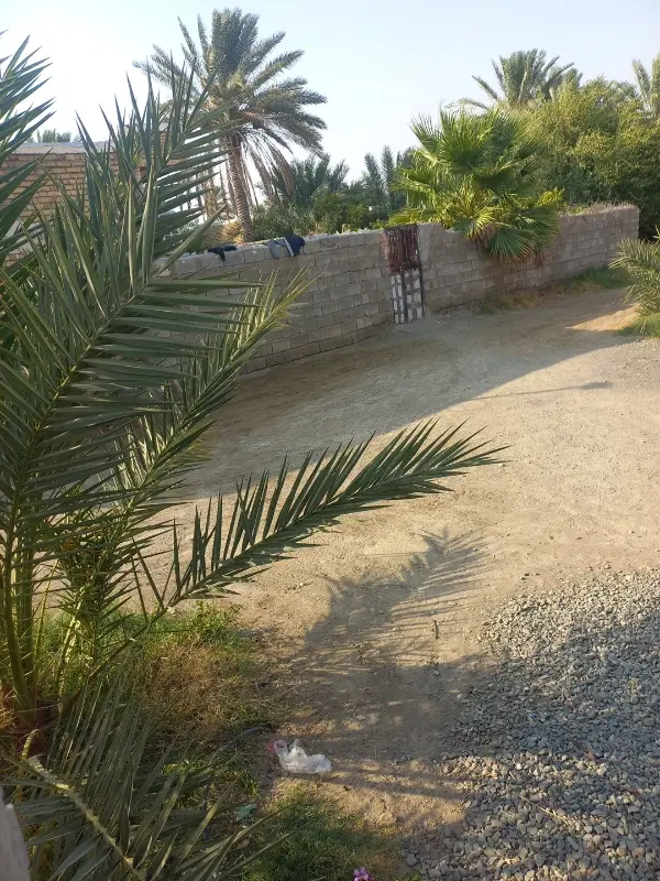 ملک مسکونی