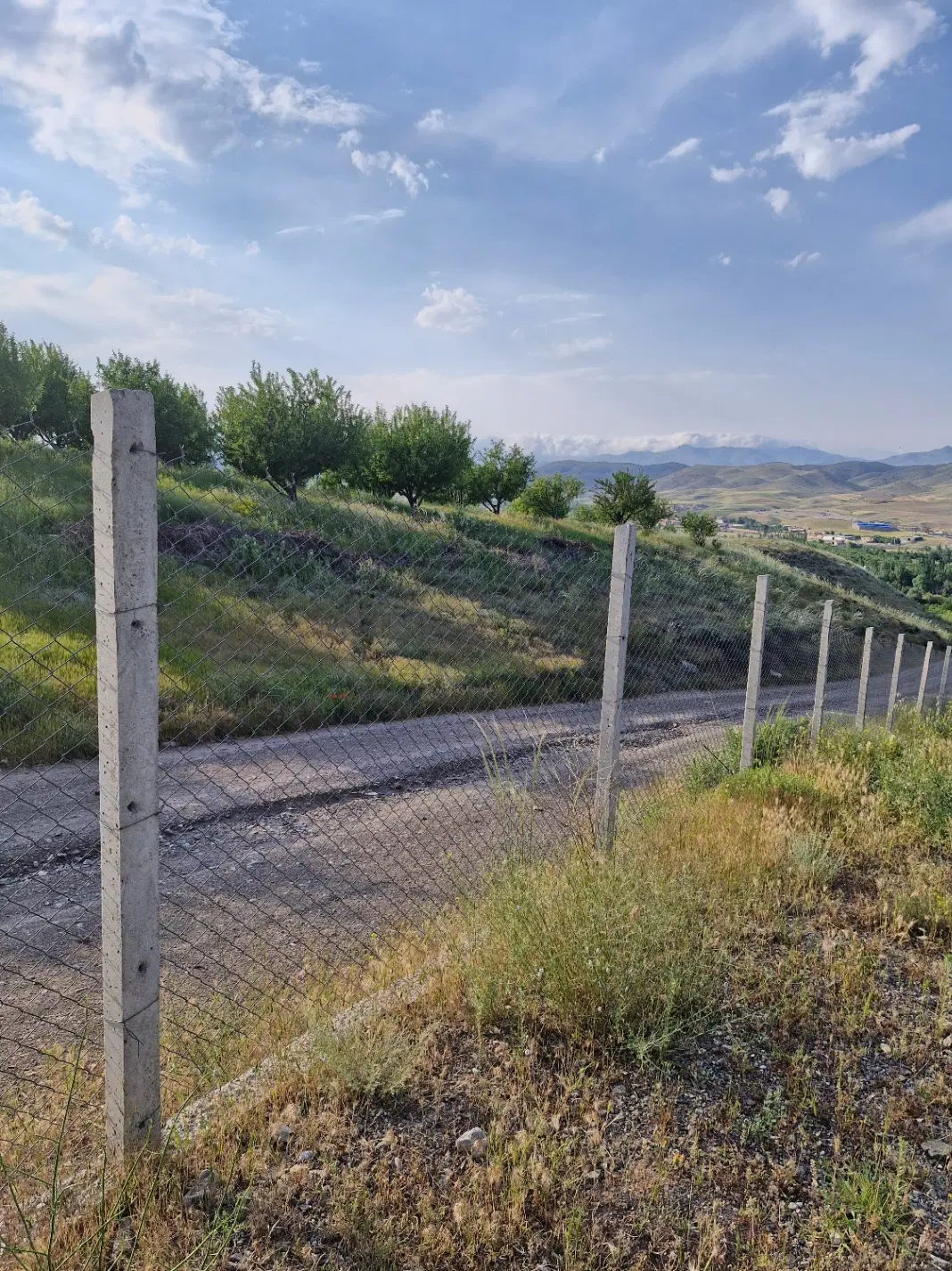 فروش باغ میوه در روستای گرنگاه