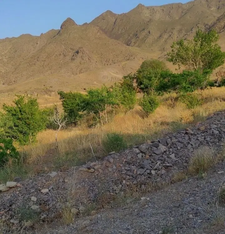 باغچه روستای جارو