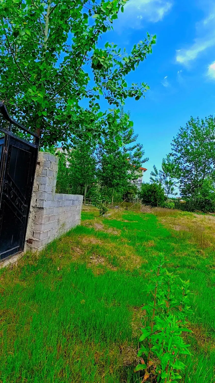 زمین ۲۲۴ متری ساحلی