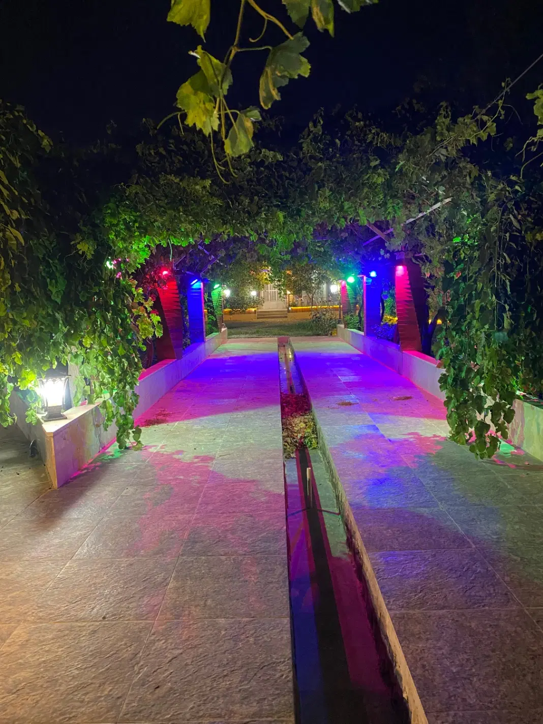باغ ویلا