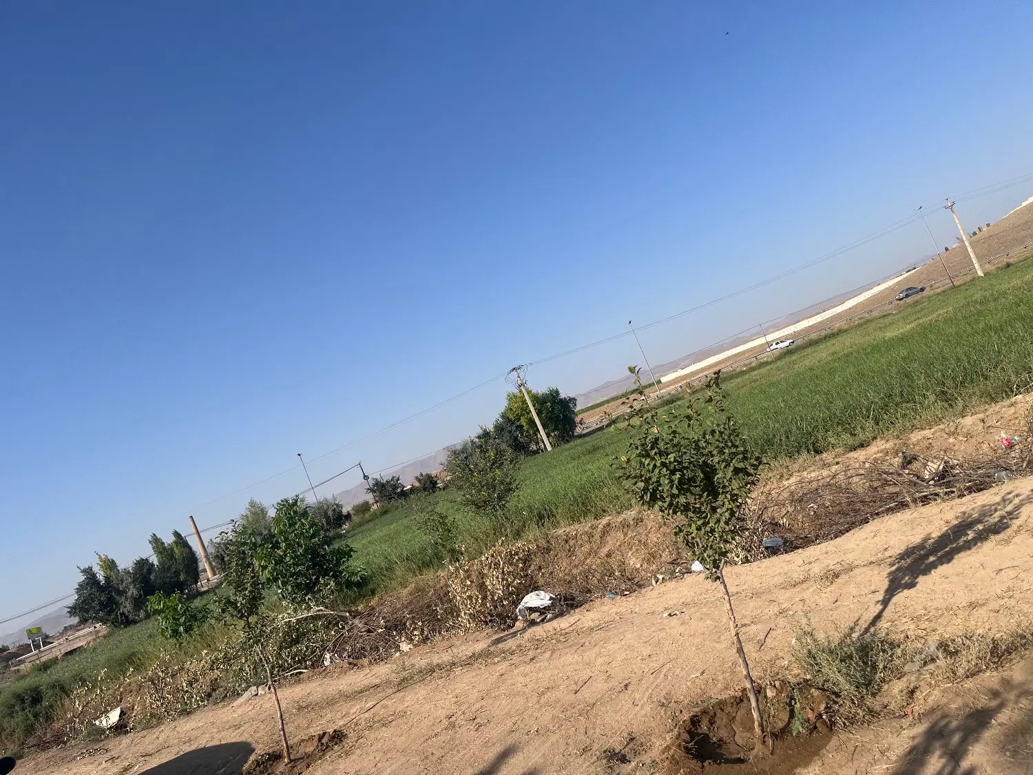 زمین زراعی و باغ کوشکن ۱۳۰۰ متر