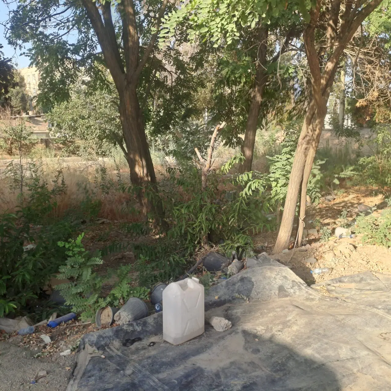 یک هکتار باغ گلسرای صنعتی
