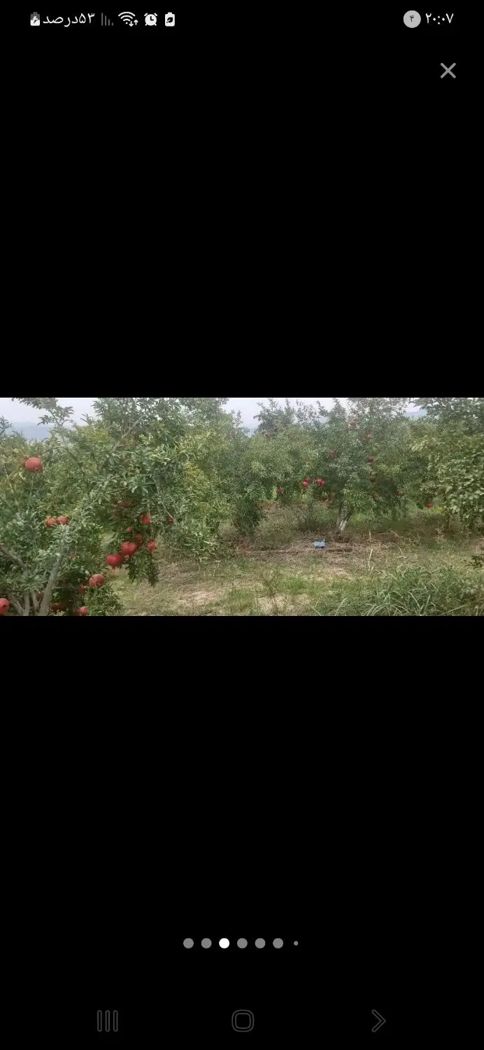 زمین باغی