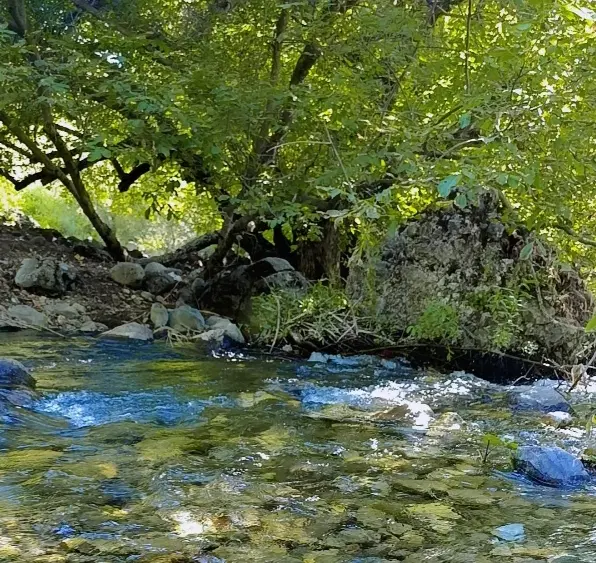 خرید و فروش زمین در کهمان