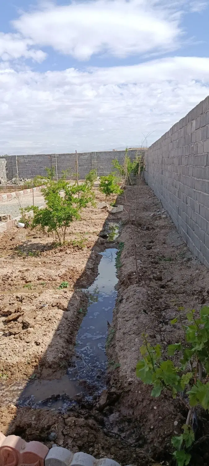 باغچه