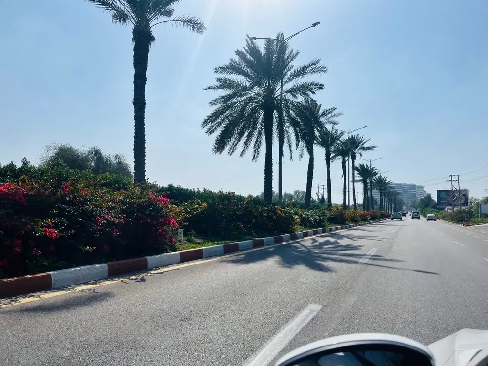 جامغازه فروشی خیابون روبرو دادگستری عنبرآباد