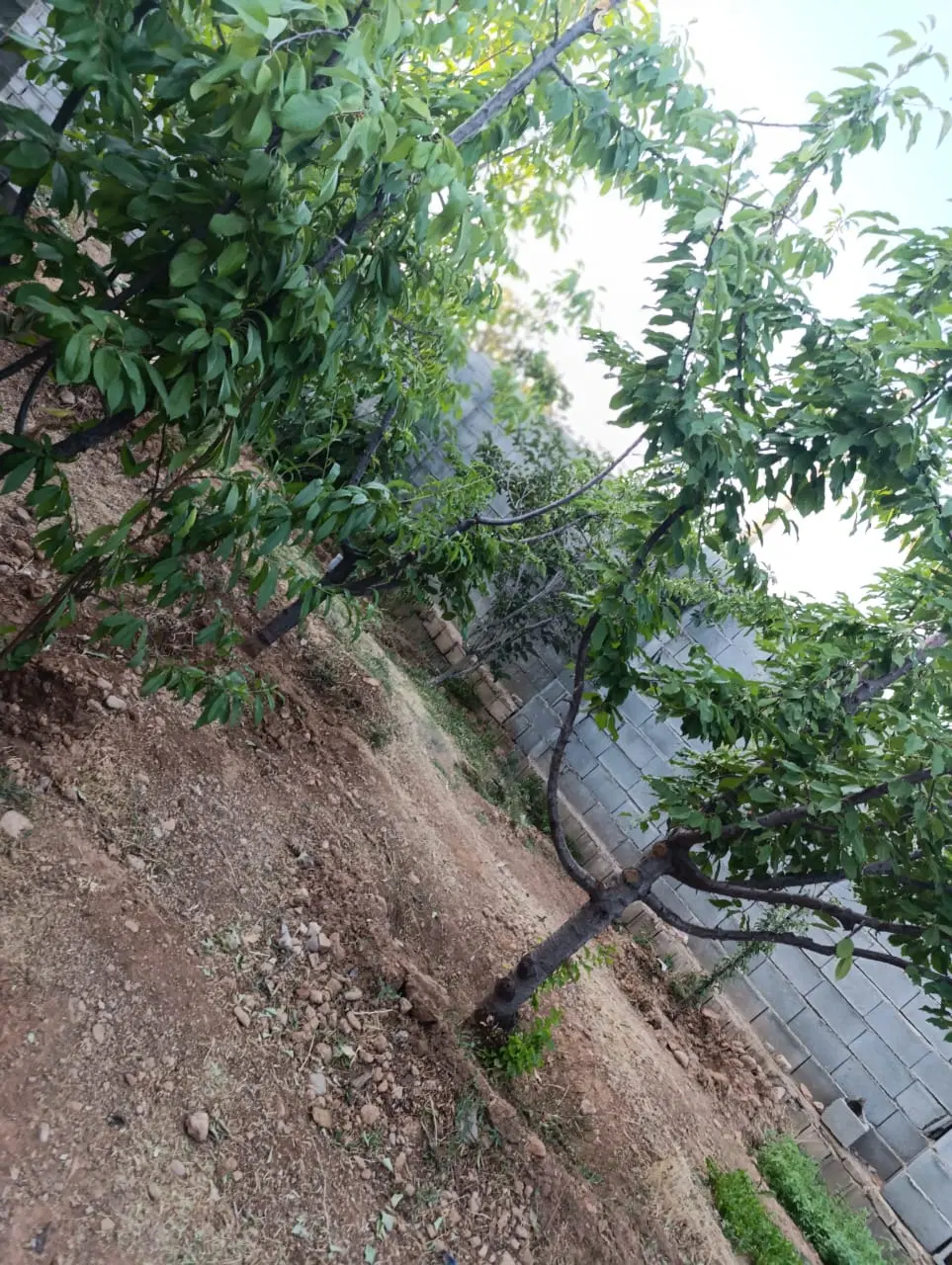 خانه رهن و اجاره