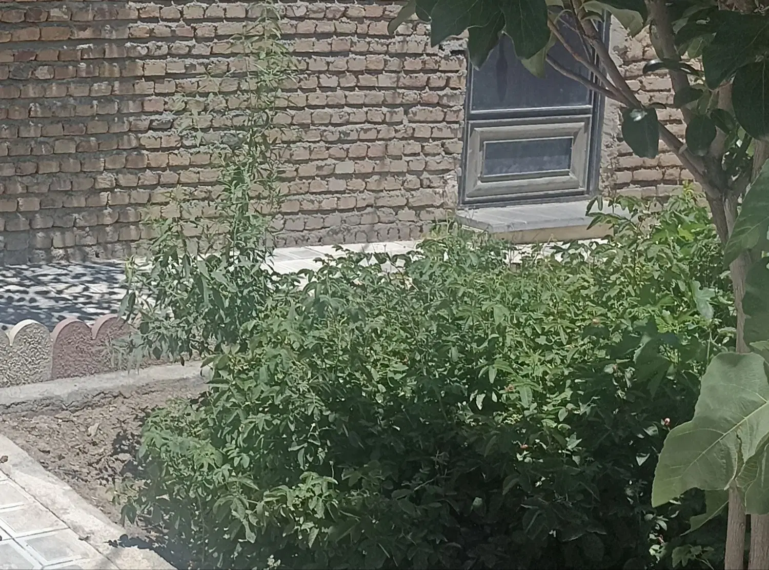 اجاره ویلایی
