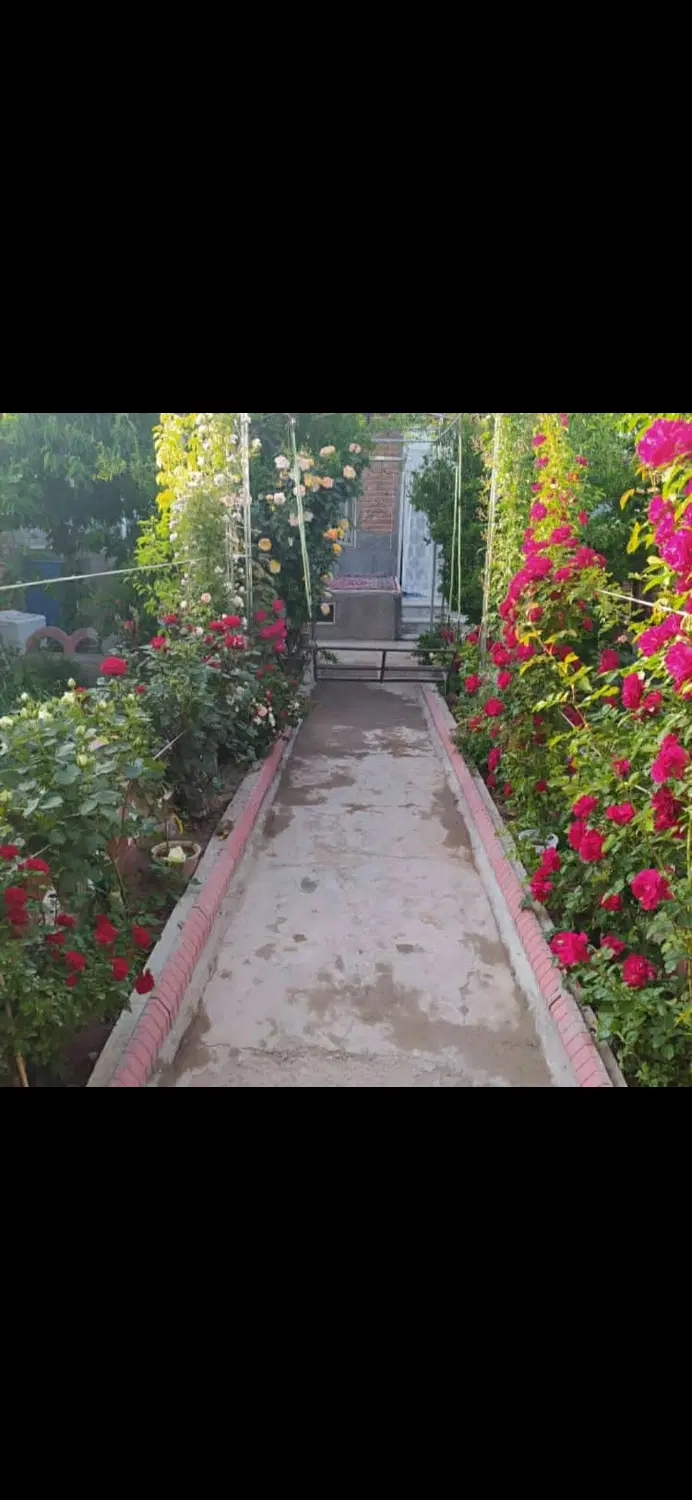خانه مسکونی ۲۵۰متر در فردوس ۱شهرک ولیعصر ساری داغ