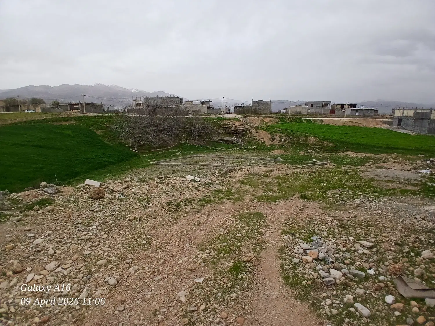 زمین ۲۵۰ متری شرف آباد