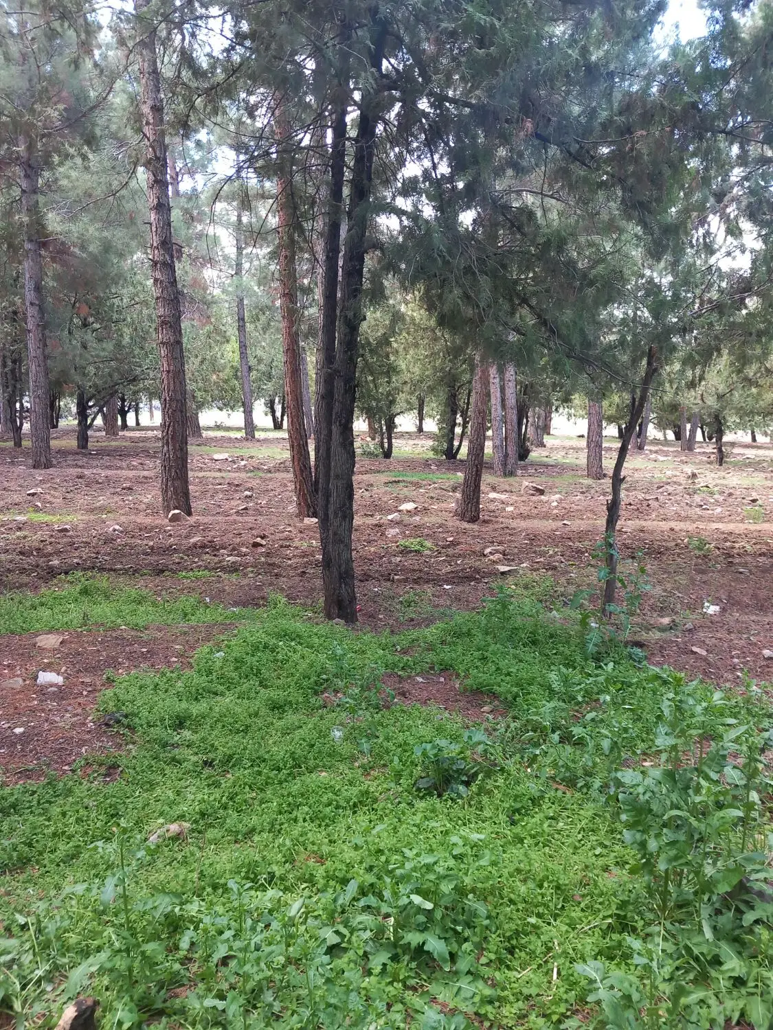 آپارتمان ۱۳۳ متری نوساز