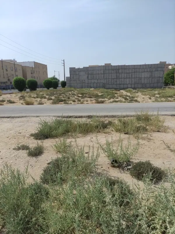 ۲۰۰متر زمین کشاورزی