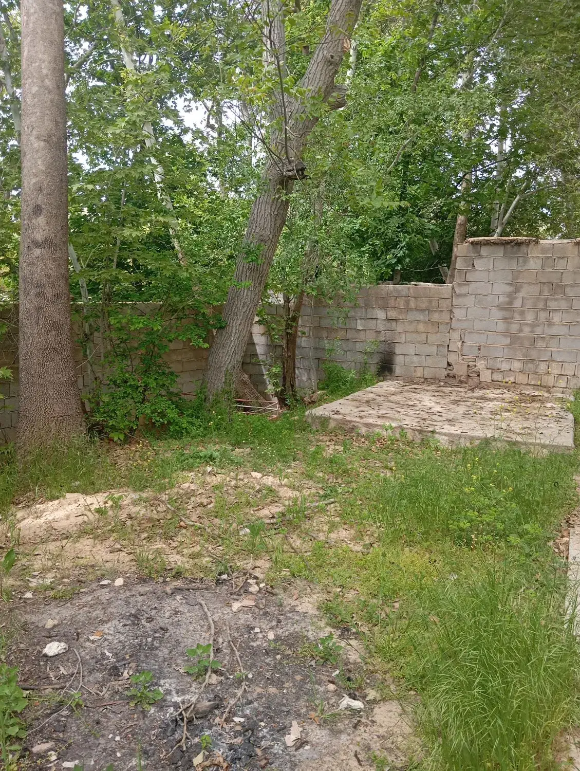 اجاره باغ چمران