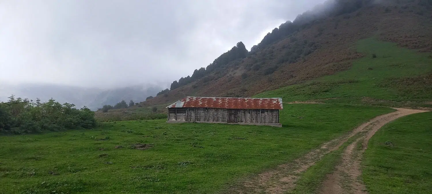 زمین فوری