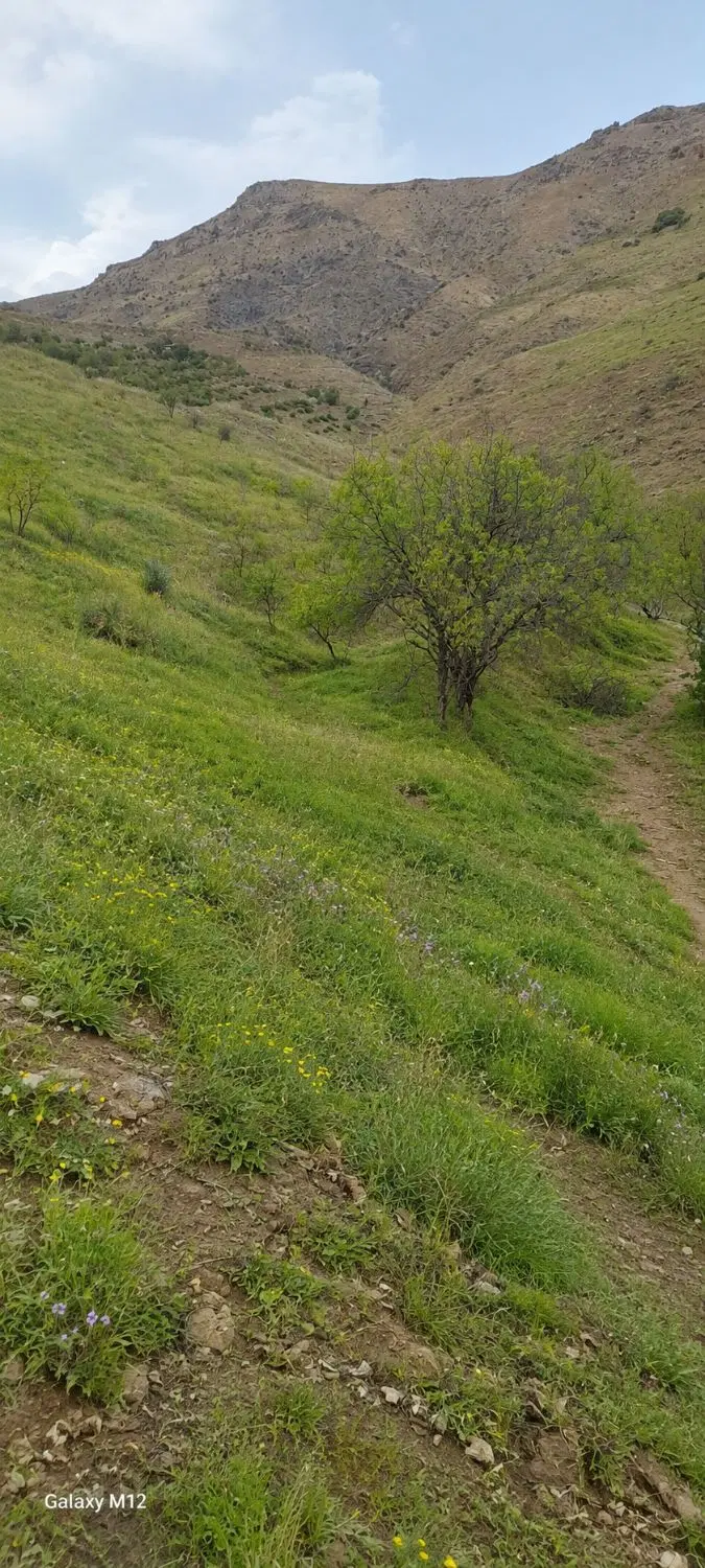 زمین کشاورزی