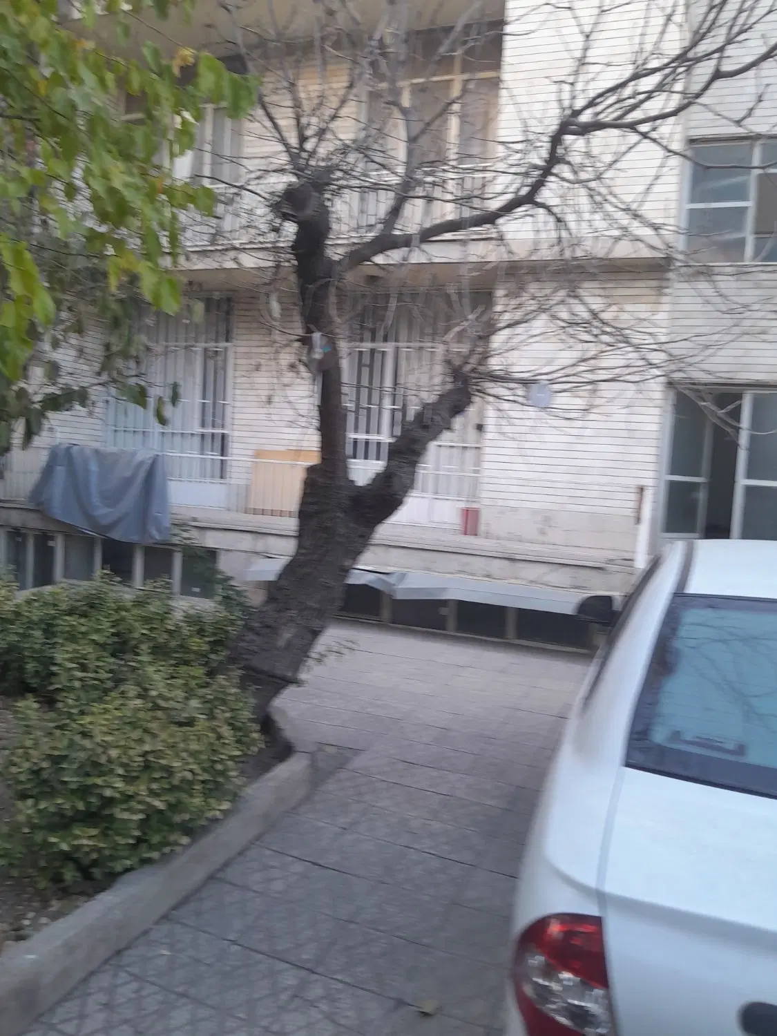 257مترکلنگی