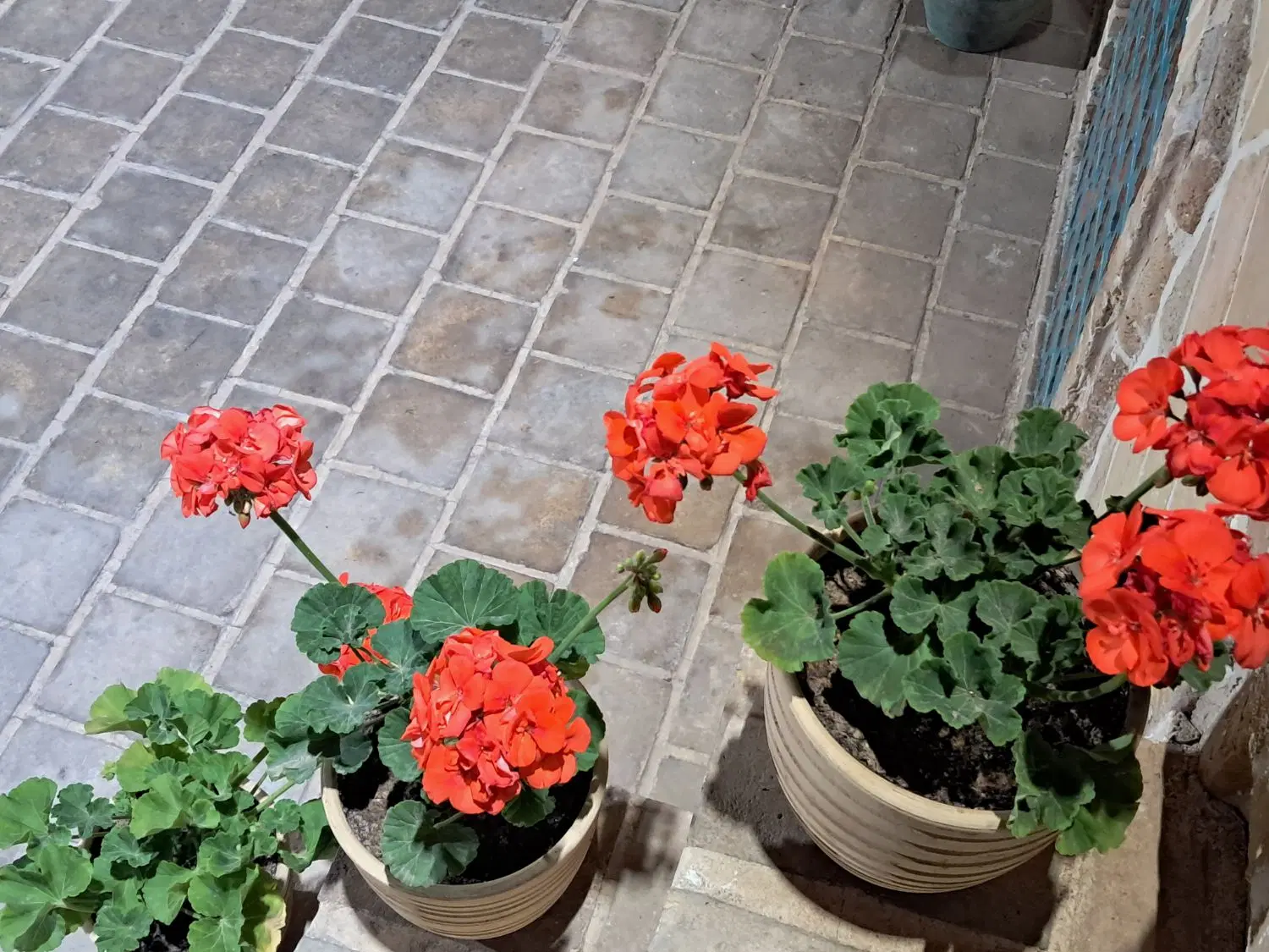 فضای اشتراکی