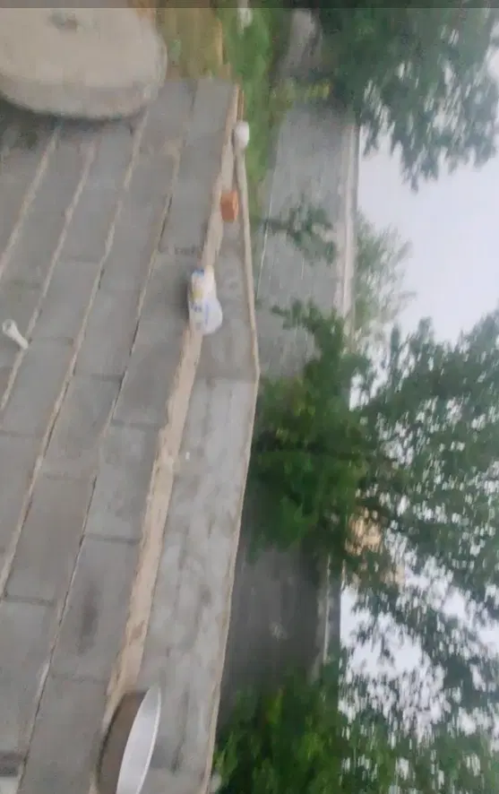 فروش باغ سردرختی