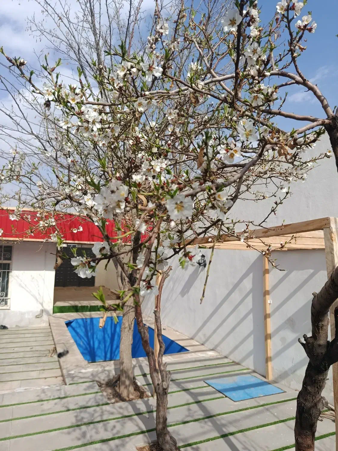 باغچه ویلا