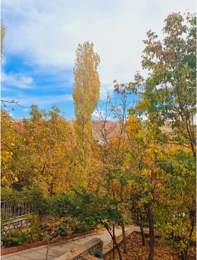 زمین کردان