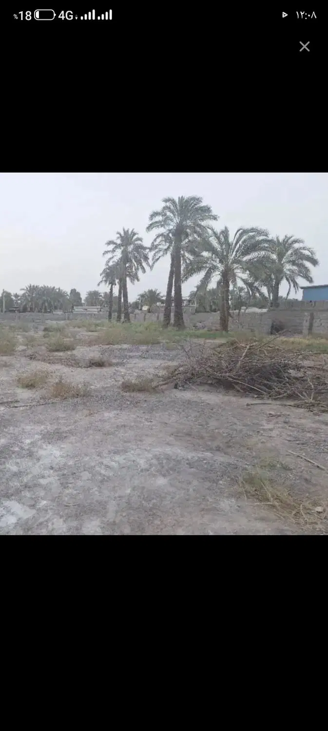 زمین