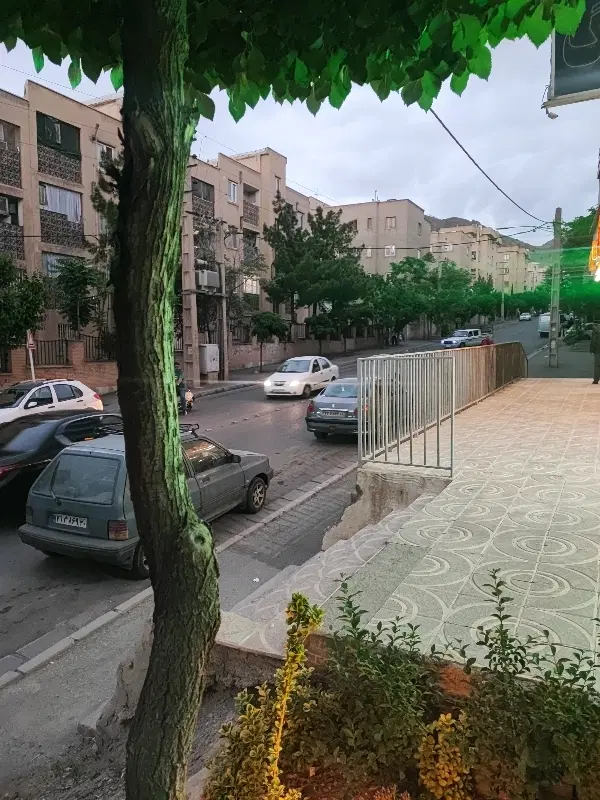 رهن در جهان نما ارغوان 2