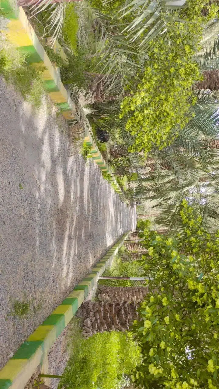 اجاره باغ ویلا روزانه