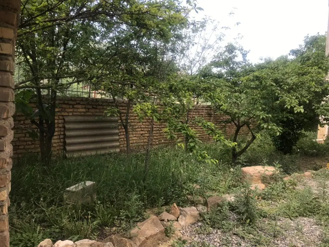 اجاره ۸۰ متری کوی ویلا