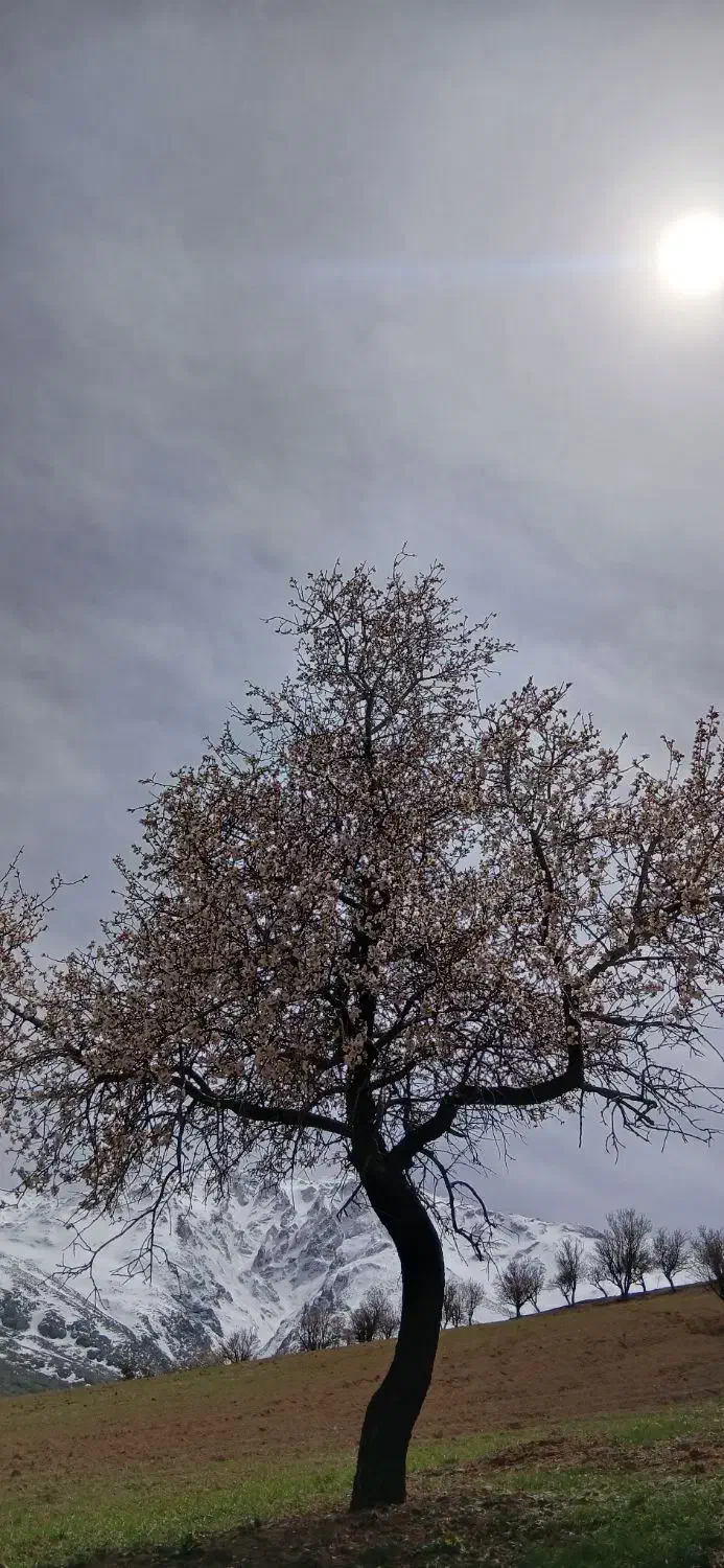 زمین مسکن ملی (الزهرا)