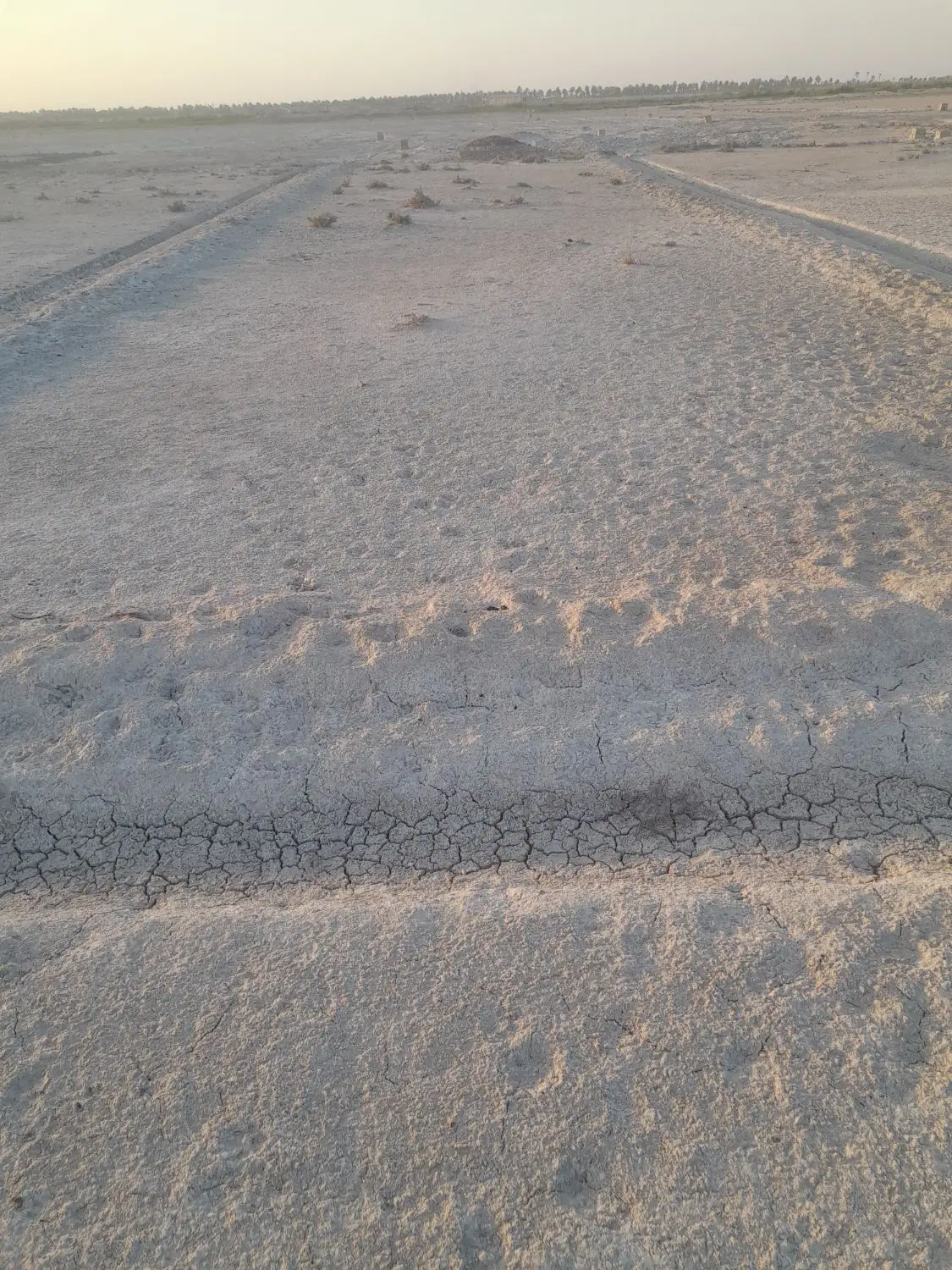 ۴ قطعه زمین