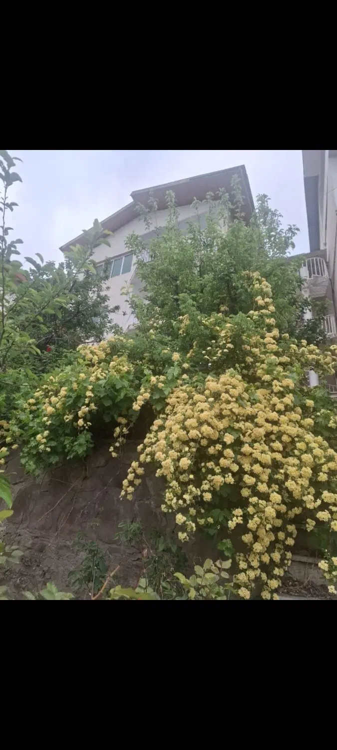 ۱۱۲ متر تک واحدی