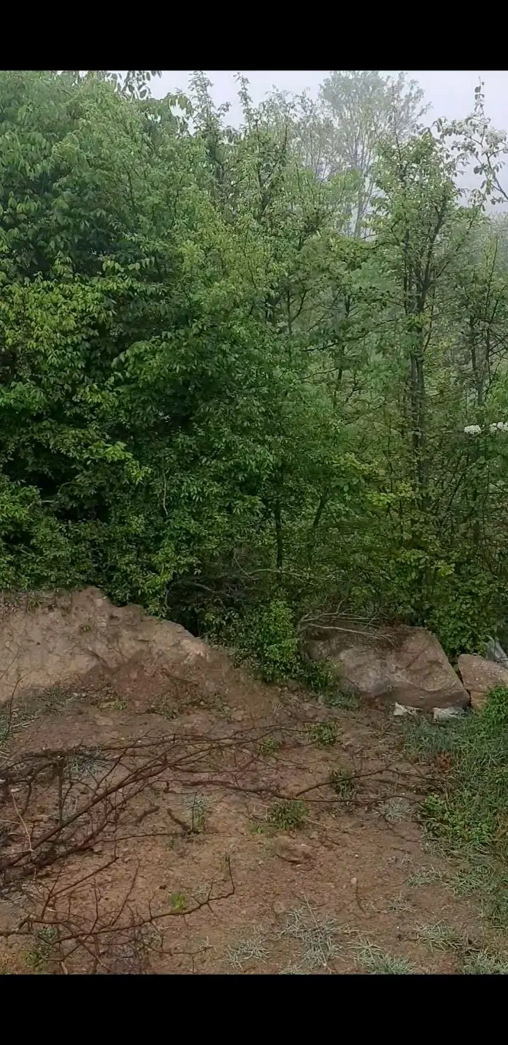 خانه ی کوچیک روستای رضی