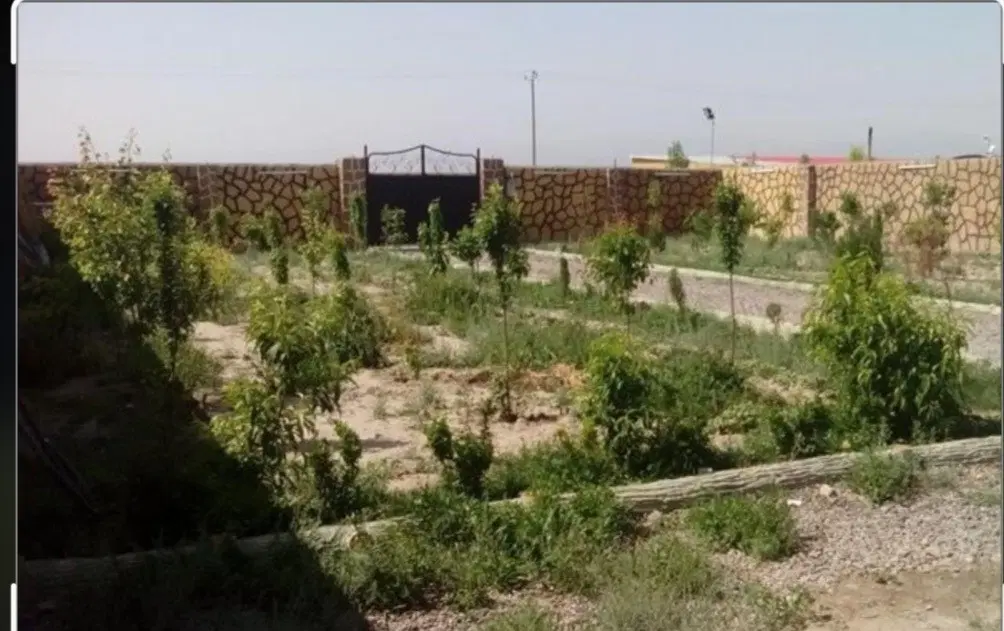 باغچه