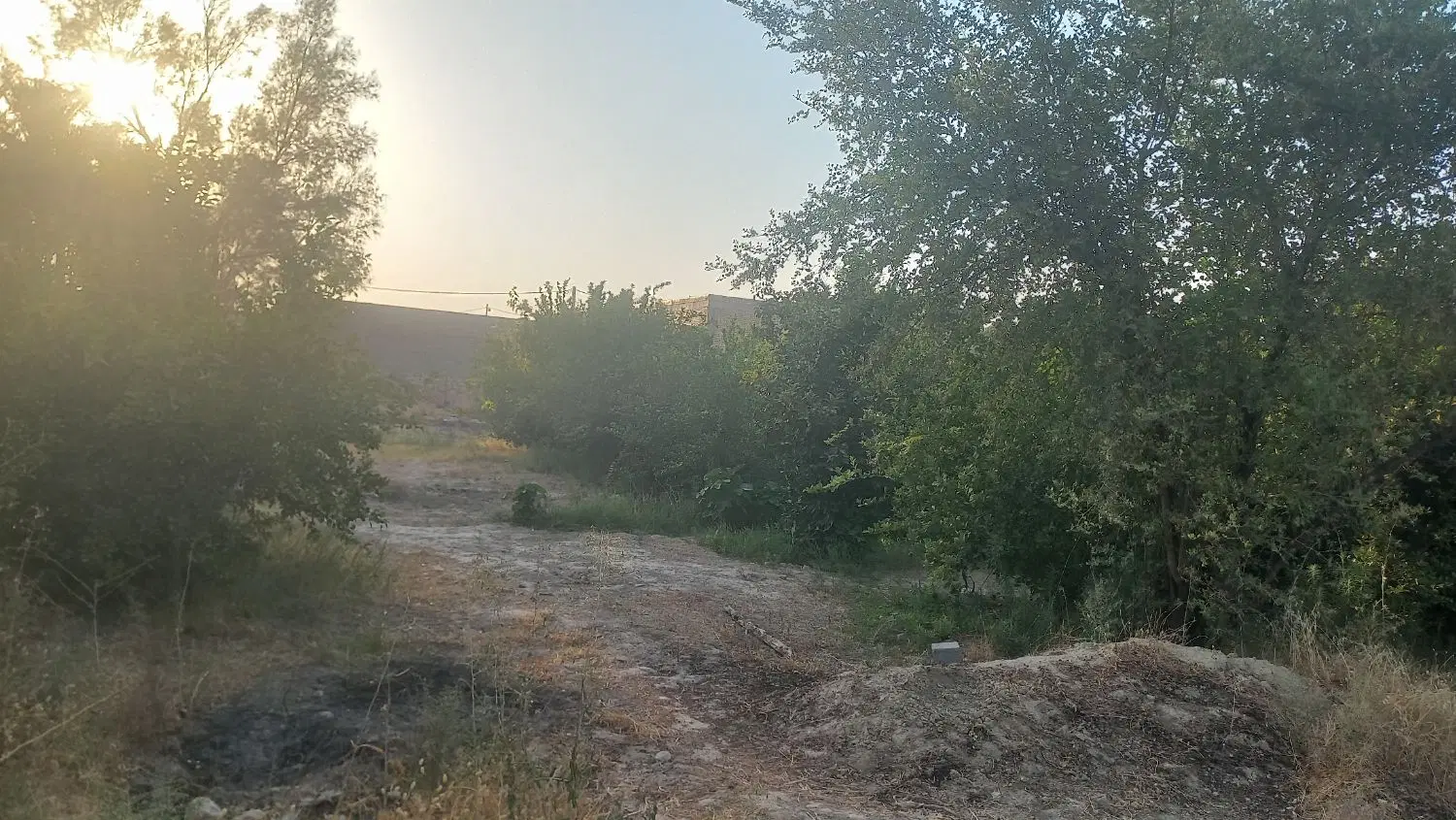 فروش باغ