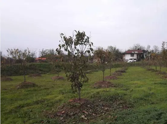 زمین کاملا مسکونی لوکیشن خوب