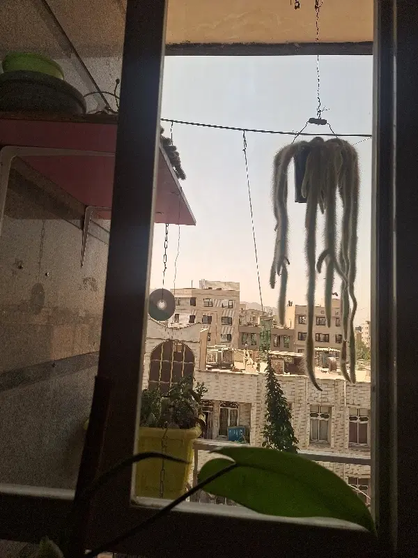 اجاره آپارتمان ۶۵ متری دوخوابه