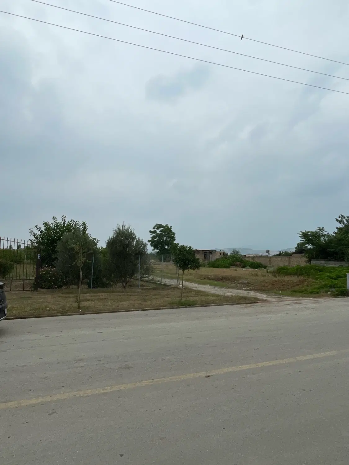 زمین باغی ، محصور و مشجّر