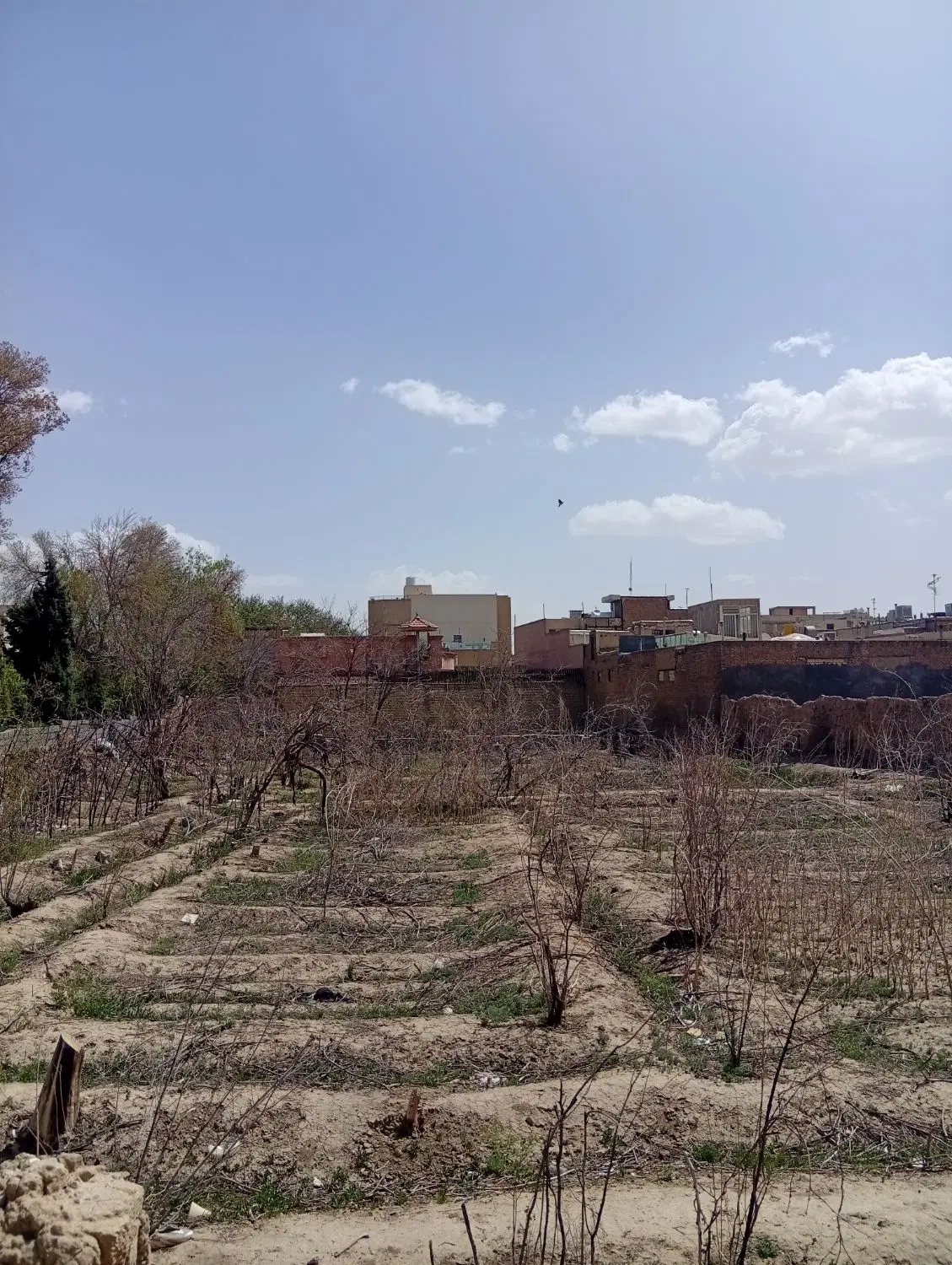 اجاره زمین با برق وسط شهر
