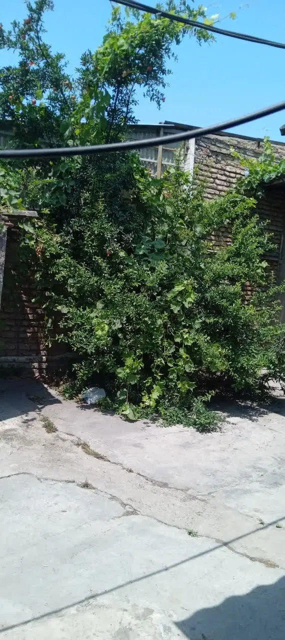 فروش تک واحدی کلنگی ۱۳۶متری در کمربندی جنوبی