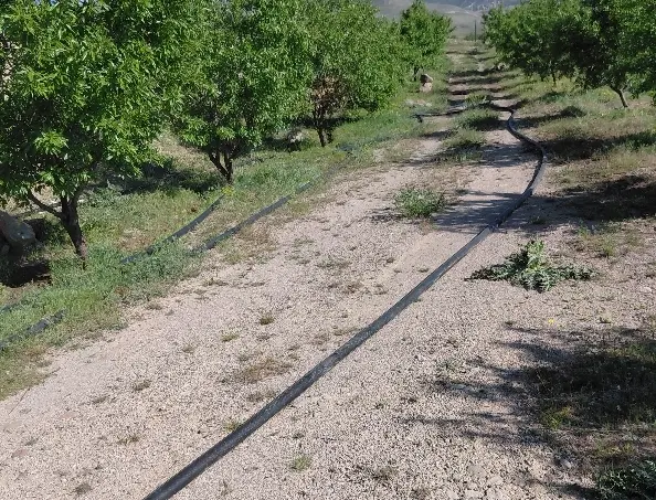 باغ ویلایی
