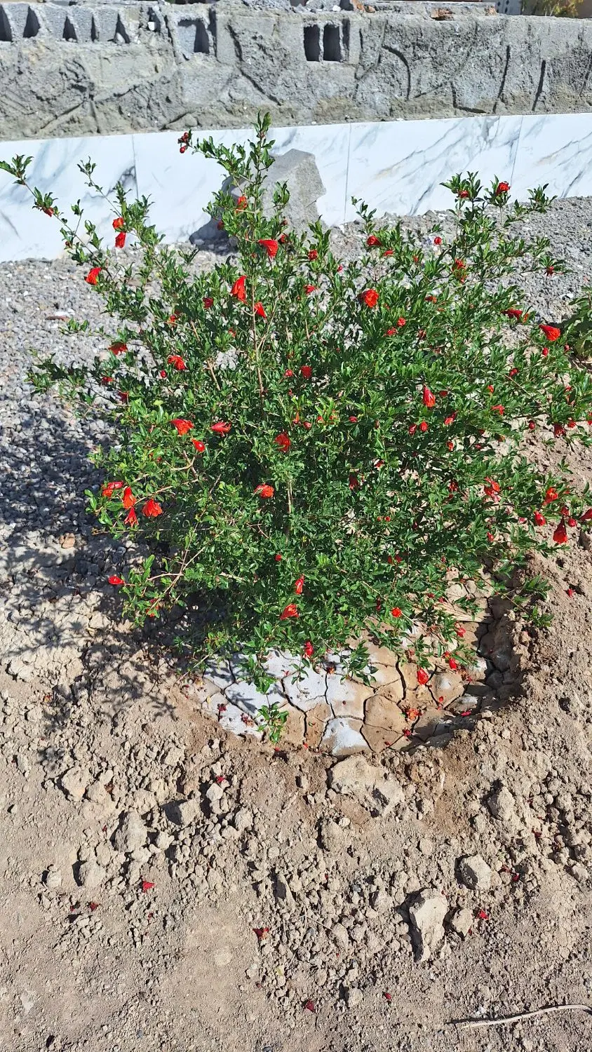 فروش۱۴۰۰مترزمین سند دارباغشهری واقع در قره چمن