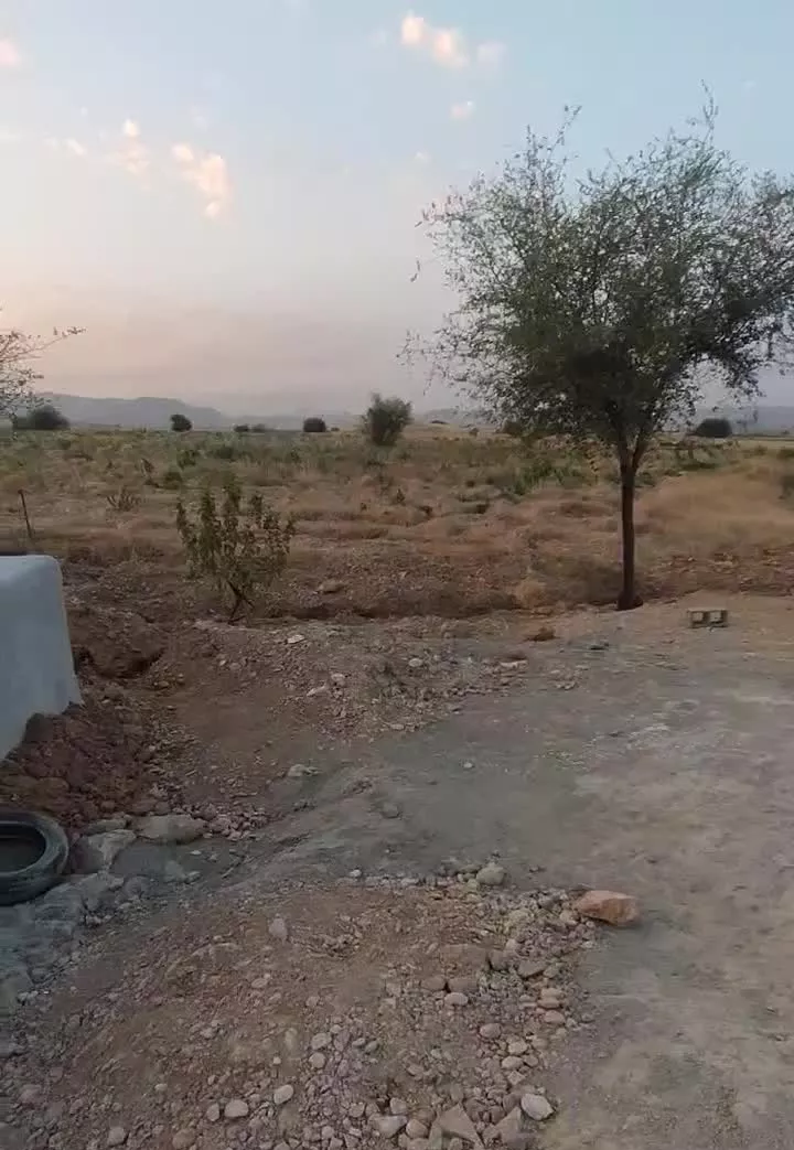 زمین کشاورزی